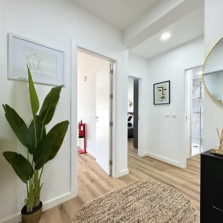 Shine By Homing *