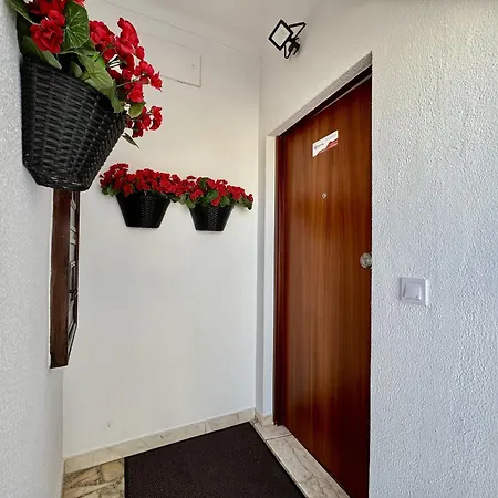 Apartamento Shine By Homing